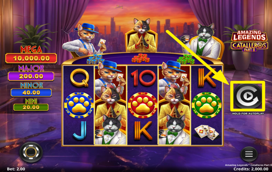 Amazing Legends Catalleros Part 2 ENTREZ DANS L'ACTION !