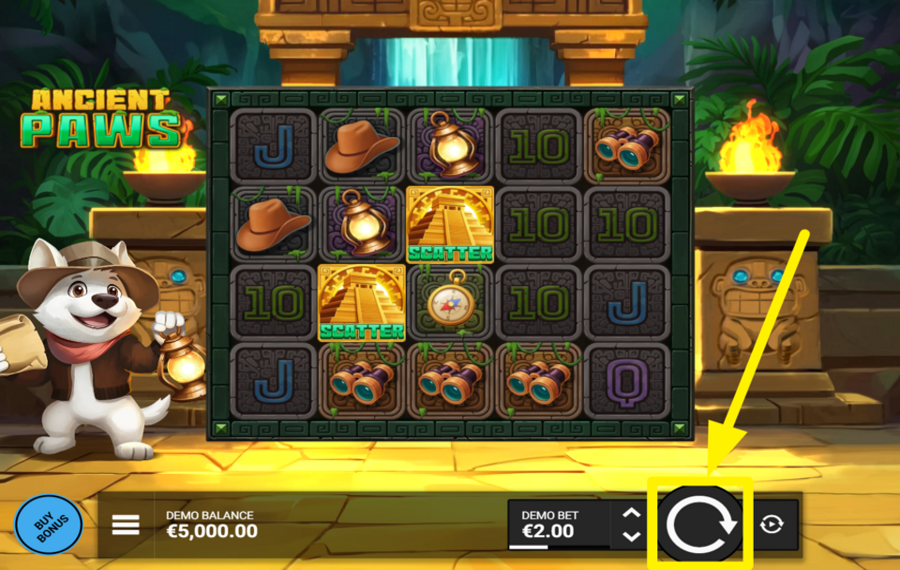 Ancient Paws SPIN FOR SUCCESS!