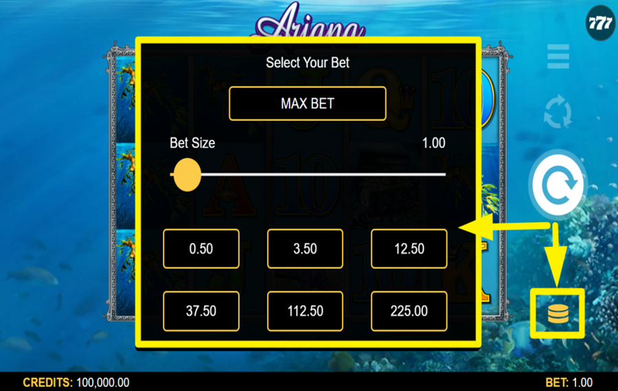 Ariana PLACE YOUR BET.