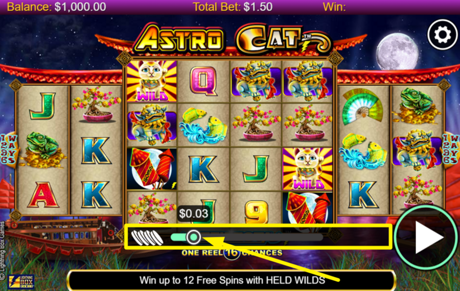 Astro Cat DECIDE ON YOUR STAKE.