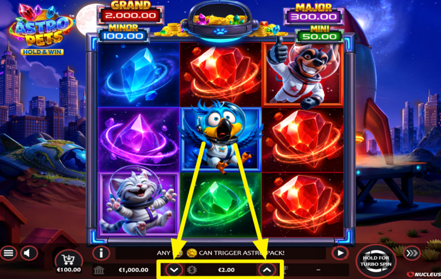 Astro Pets Hold and Win DETERMINE YOUR STAKE.