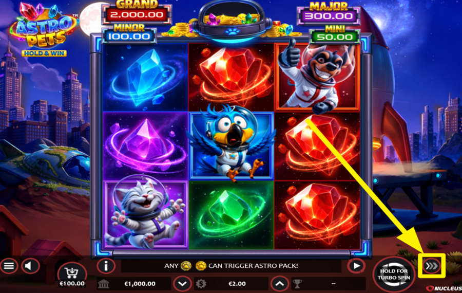 Astro Pets Hold and Win QUICKEN THE GAME.