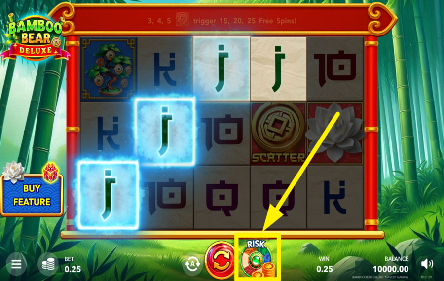 Bamboo Bear Deluxe TRY YOUR LUCK!