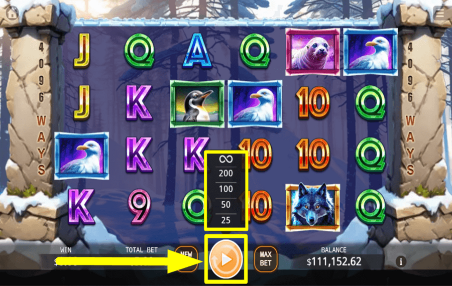 Bear Paw Legend USE THE AUTOPLAY.