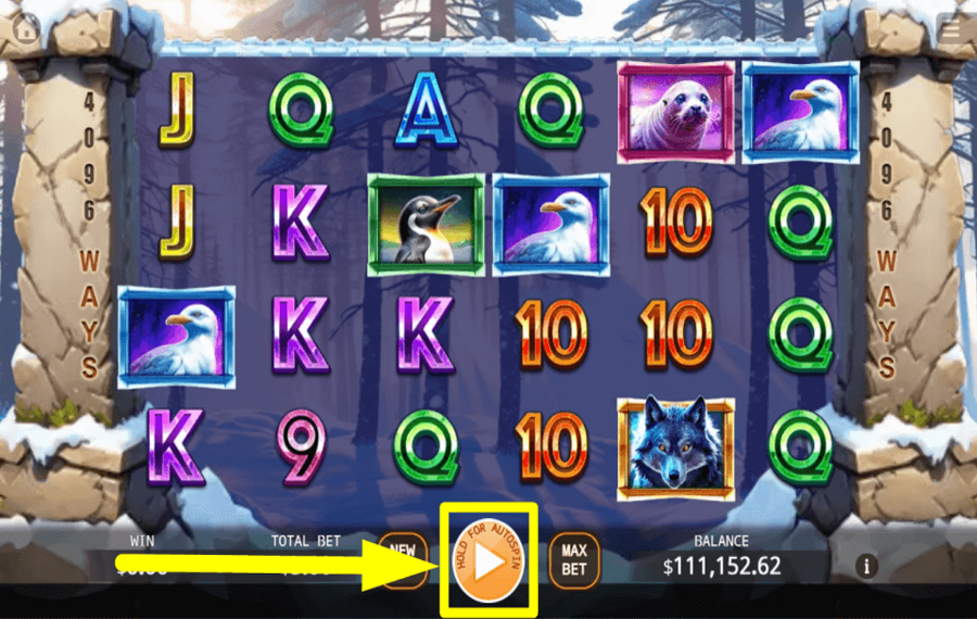 Bear Paw Legend SPIN TO WIN.