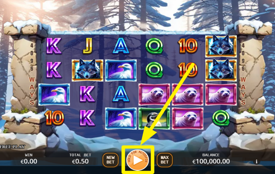 Bear Paw Legend Plus SPIN FOR SUCCESS!