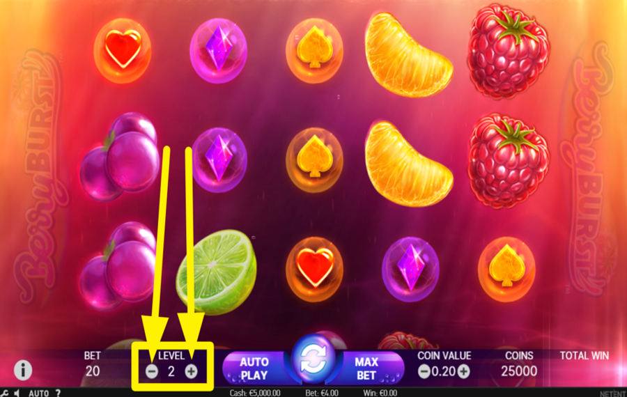 Berryburst DÉTERMINEZ VOTRE NIVEAU DE MISE.