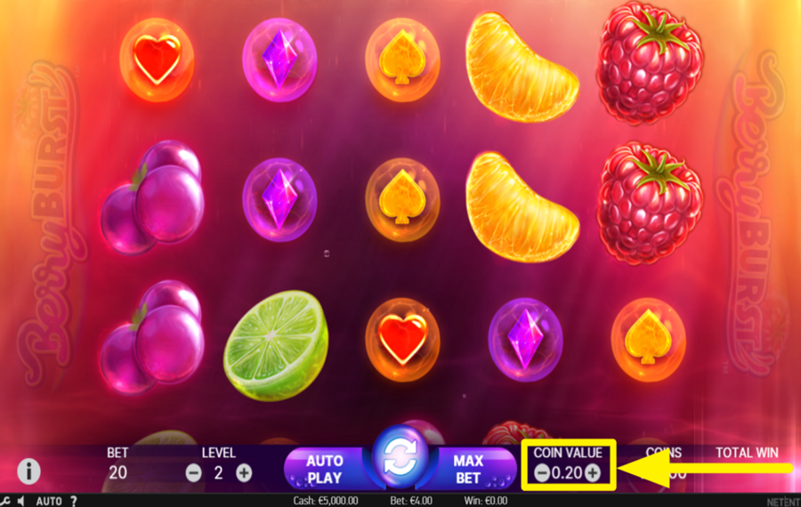 Berryburst CHOISISSEZ UNE VALEUR DE PIÈCE.