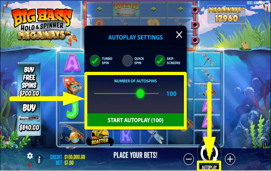 Big Bass Hold And Spinner Megaways CONTINUER AUTOMATIQUEMENT.