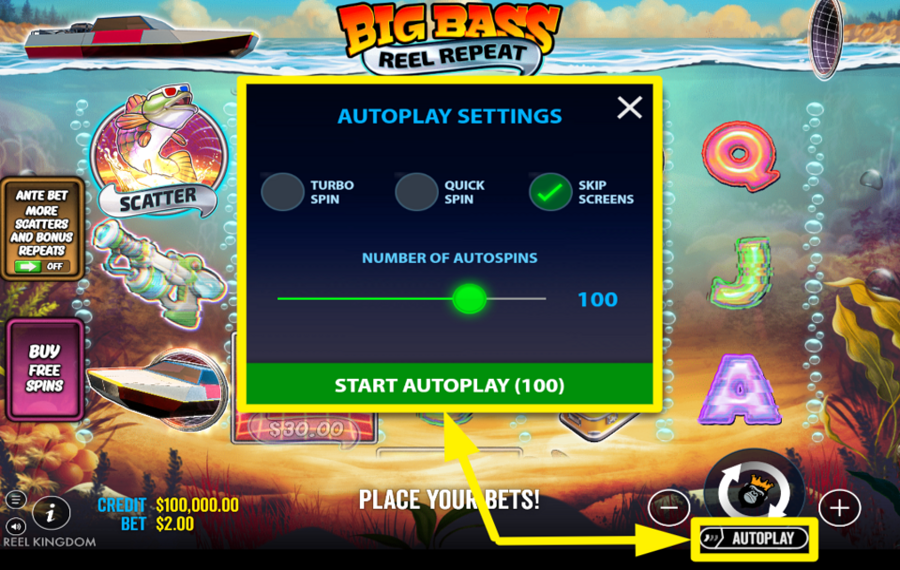 Big Bass Reel Repeat UTILISER LA LECTURE AUTOMATIQUE.