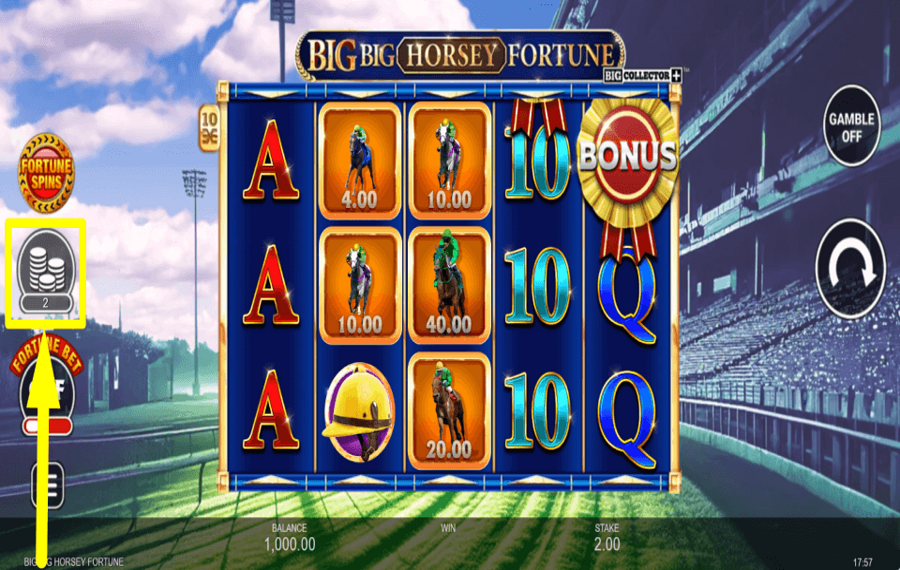 Big Big Horsey Fortune ASSIGN THE BET.