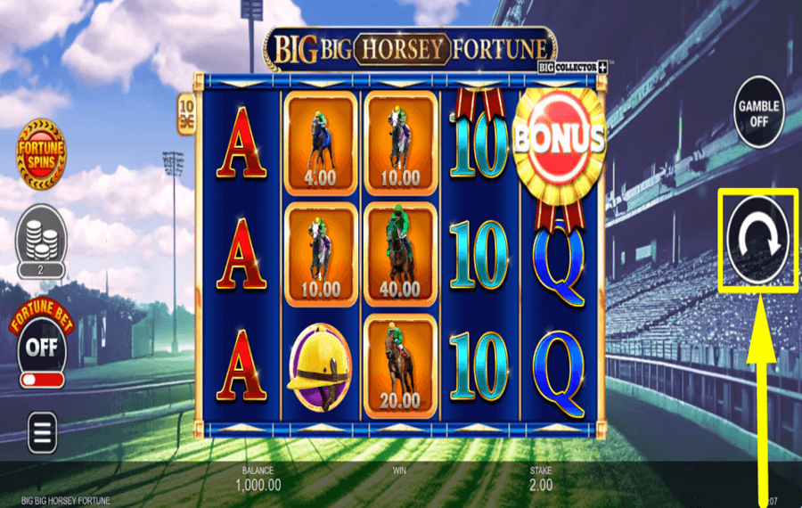 Big Big Horsey Fortune AIM FOR REWARDS.