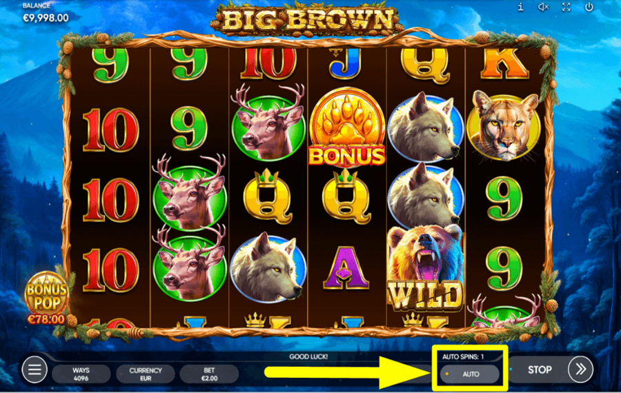 Big Brown CHOOSE AUTOPLAY.