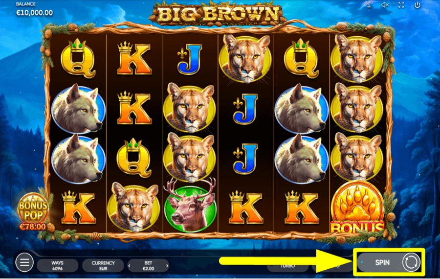 Big Brown COLLECT REWARDS.