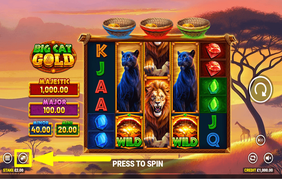 Big Cat Gold ВЫБЕРИТЕ СВОЮ СТАВКУ.
