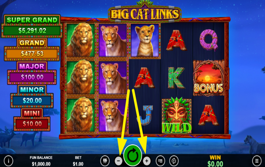 Big Cat Links DÉTERMINEZ VOTRE PARI.