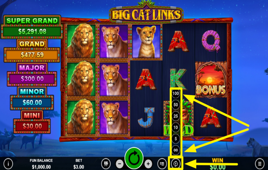Big Cat Links ACTIVER LA JEU AUTOMATIQUE.