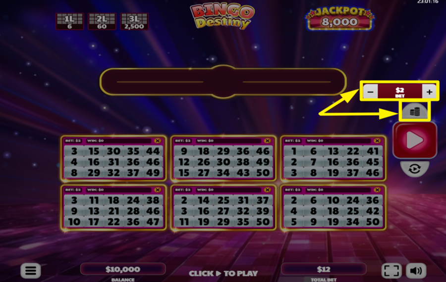 Bingo Destiny CHOISISSEZ VOTRE PARI.