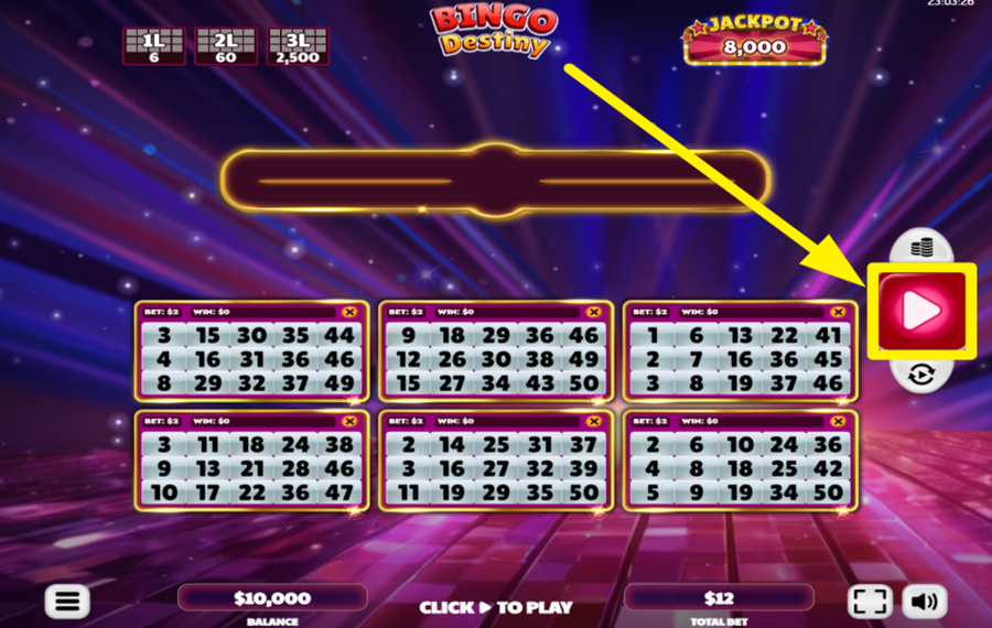 Bingo Destiny JOUER LE JEU.