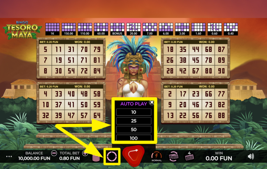 Bingo Tesoro Maya USE THE AUTOPLAY FEATURE.