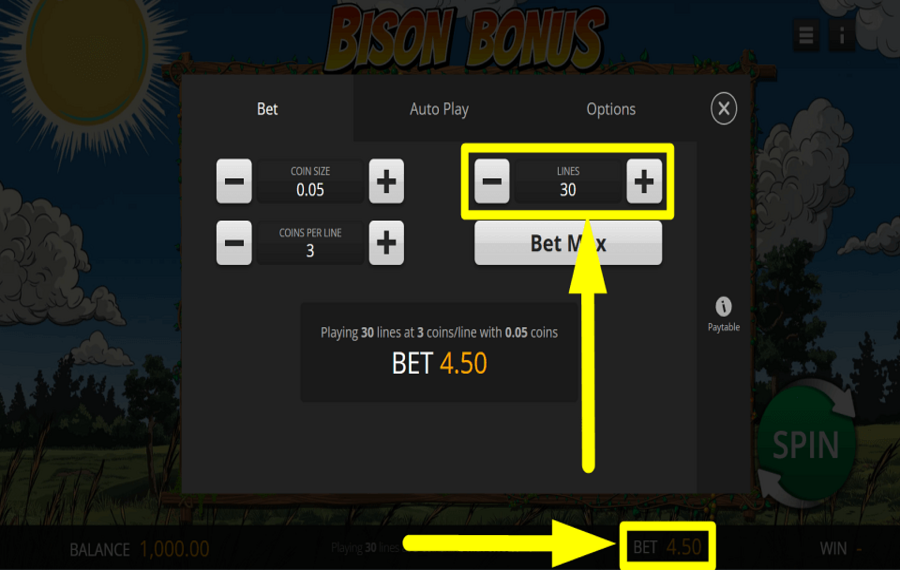 Bison Bonus CHOISISSEZ VOS LIGNES DE PAIEMENT.