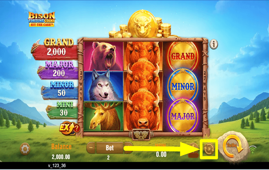 Bison Fortune Coins ЗАПУСТИТЬ АВТОВОСПРОИЗВЕДЕНИЕ.