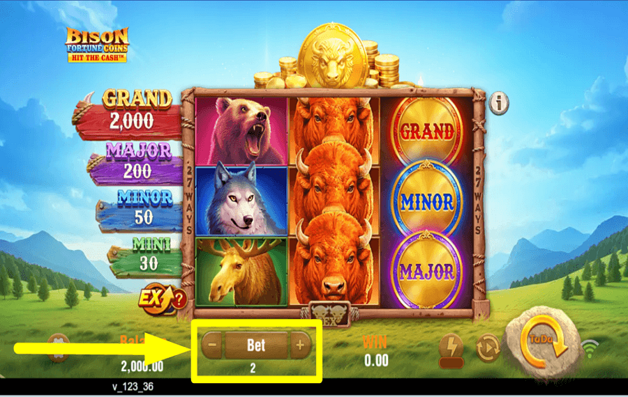 Bison Fortune Coins ОПРЕДЕЛИТЕ СВОЮ СТАВКУ.
