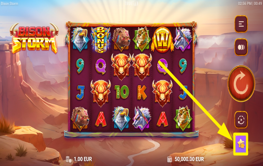 Bison Storm GRAB A BONUS FEATURE!