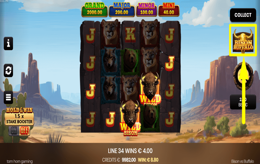 Bison vs Buffalo ПРИМИТЕ РИСК.