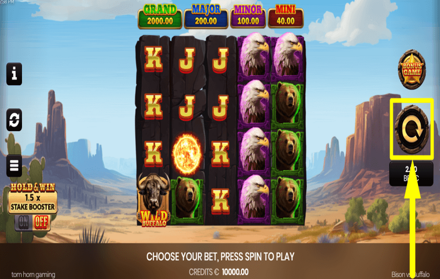 Bison vs Buffalo СТРЕМИТЕСЬ К ПРИЗУ.