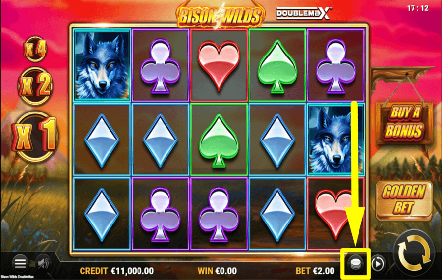 Bison Wilds DoubleMax CAST YOUR BET.