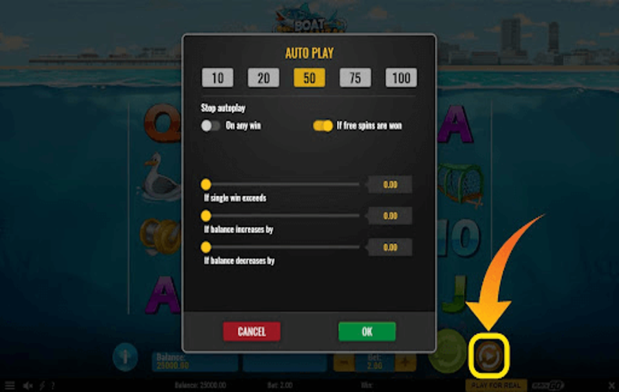 Boat Bonanza Использование дополнительной функции «Автозапуск»