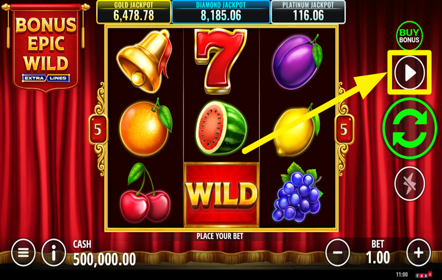 Bonus Epic Wild Extralines 自動プレイを開始します。