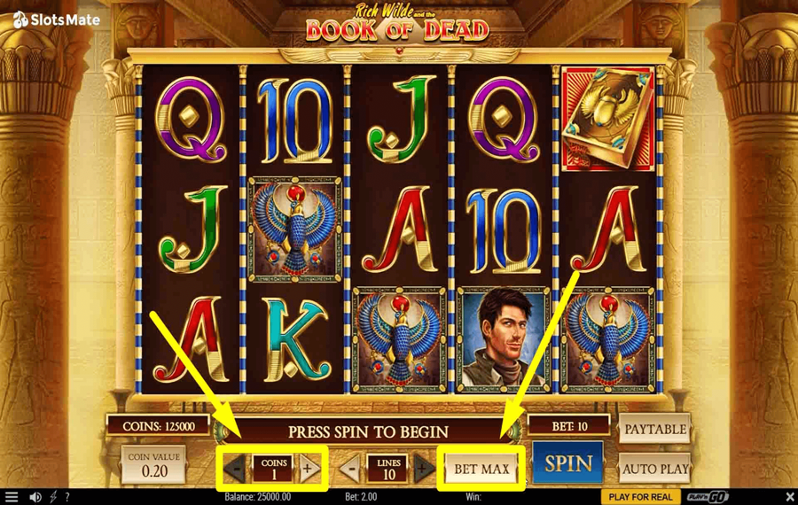 Play n GO Rich Wilde and the Book of Dead Choisissez le montant de votre mise. 