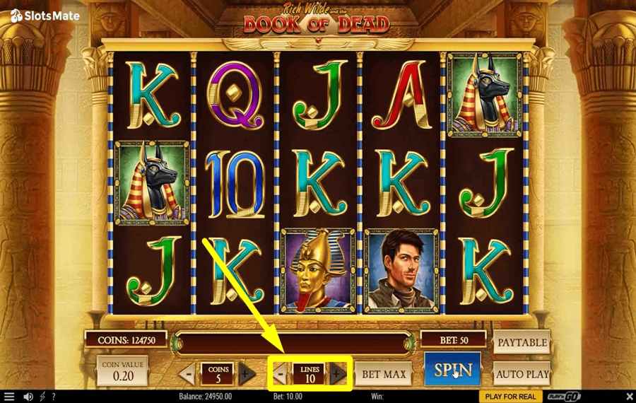 Play n GO Rich Wilde and the Book of Dead Choisissez les lignes de paiement.