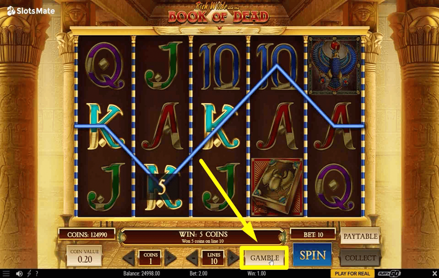 Play n GO Rich Wilde and the Book of Dead Utilisation de la fonction optionnelle « Gamble ».