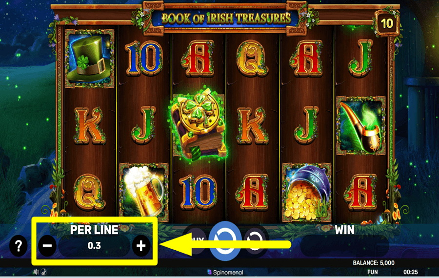 Book of Irish Treasures DECIDE THE STAKE.