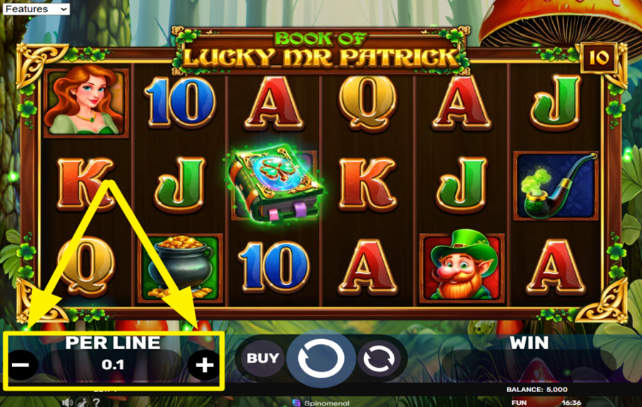Book of Lucky Mr Patrick DETERMINE THE BET VALUE PER LINE.