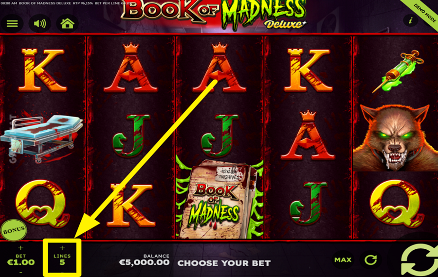 Book of Madness Deluxe DECIDE ON THE ACTIVE PAYLINES.