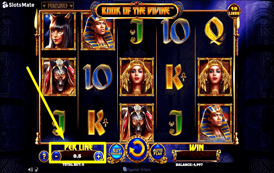 Book of the Divine Choose your bet amount. 