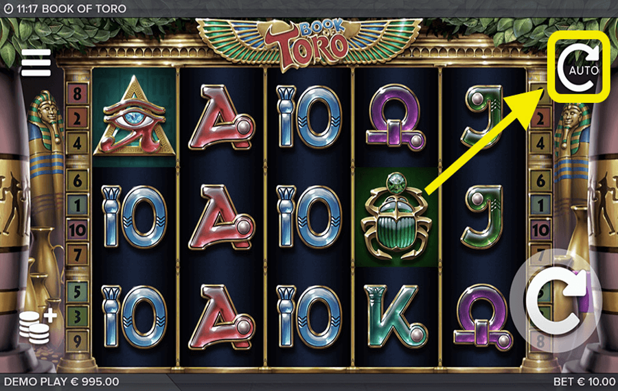 Book Of Toro Utilisation de la fonction optionnelle « Lecture automatique ».