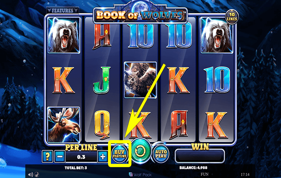 Book of Wolves En utilisant le bouton optionnel « Acheter une fonctionnalité ».