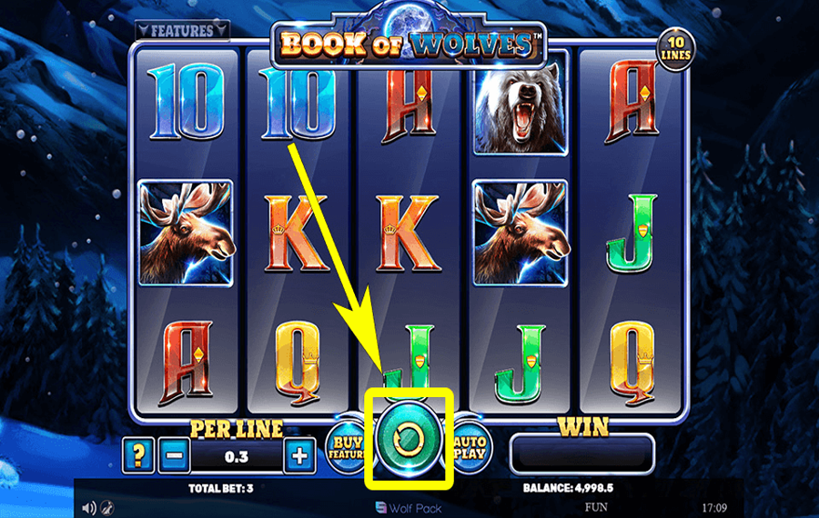 Book of Wolves Cliquez/appuyez sur le bouton « Spin ».