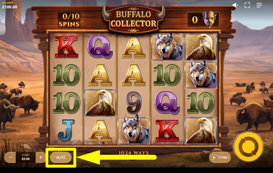 Buffalo Collector ПРИМЕНИТЬ АВТОВОСПРОИЗВЕДЕНИЕ.