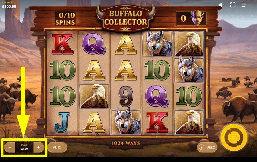 Buffalo Collector ИЗМЕНИТЕ СТАВКУ.