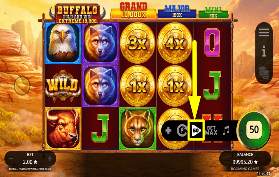 Buffalo Hold and Win Extreme 10000 ACTIVER LA LECTURE AUTOMATIQUE.