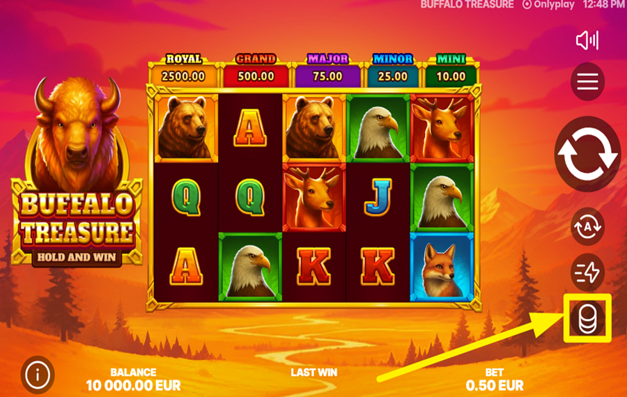 Buffalo Treasure Hold and Win DECIDE ON YOUR STAKE.