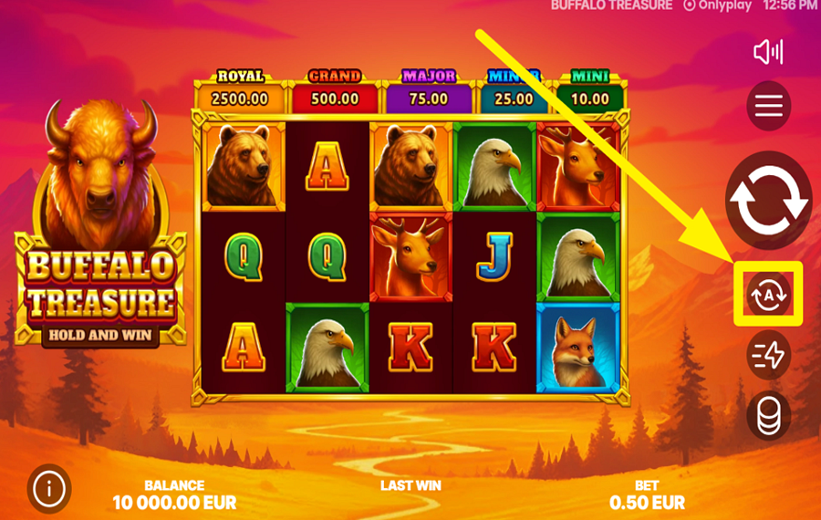 Buffalo Treasure Hold and Win TURN ON AUTOMATIC SPINS.