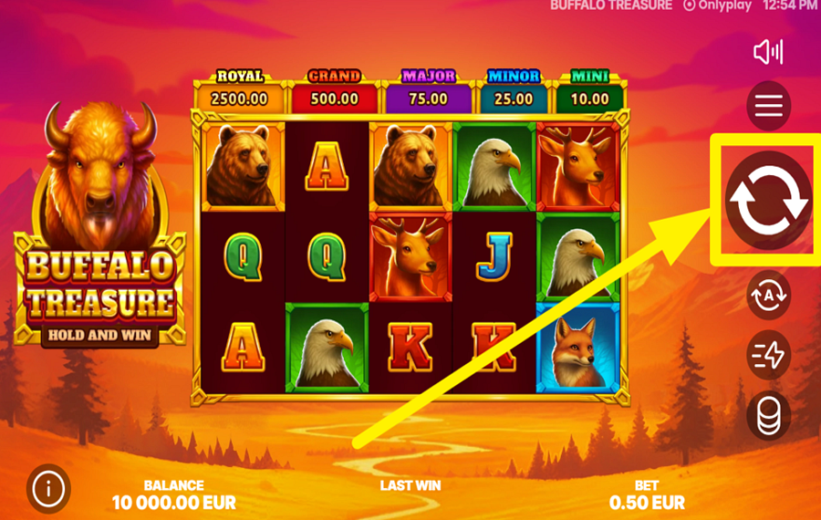 Buffalo Treasure Hold and Win SPIN TO WIN!