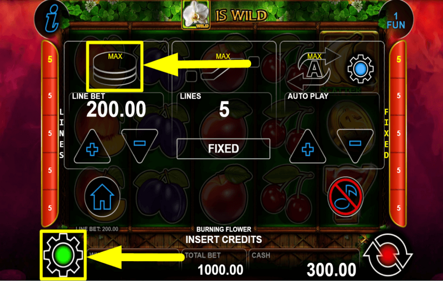 Burning Flower CONSIDERE APUESTAS ALTAS.